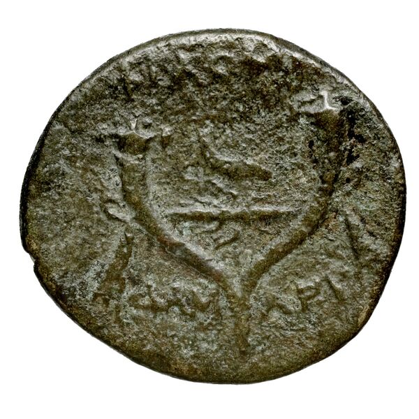 Philomelium BMC Philomelium 3-6, реверс, BnF (IRIS)