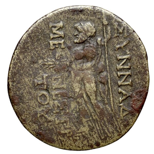 Synnada BMC Synnada 2-4, реверс, bnf-iris