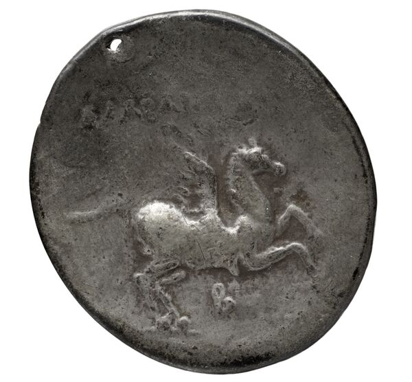 Alabanda Meadows 2020 5A, реверс, bnf-iris