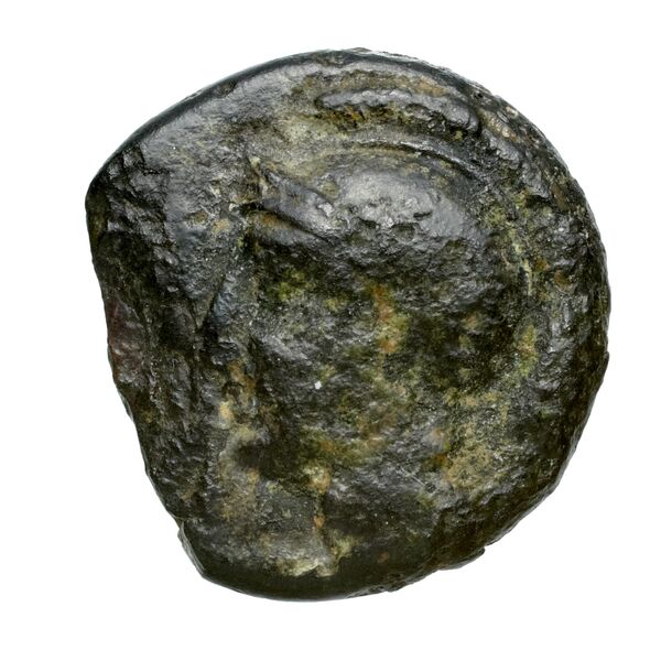obverse Euagoras II of Salamis Salamis BMC Salamis 74