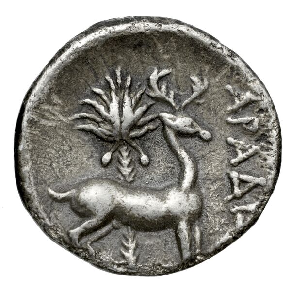 Aradus Duyrat 2005 2573-3009, реверс, bnf-iris