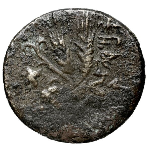 Aradus Duyrat 2005 4603-4617, реверс, bnf-iris