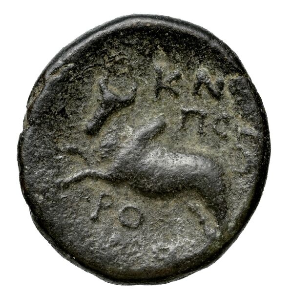 Aradus Duyrat 2005 4422-4602, реверс, bnf-iris