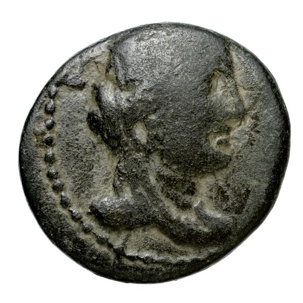 Aradus Duyrat 2005 4422-4602, аверс, bnf-iris