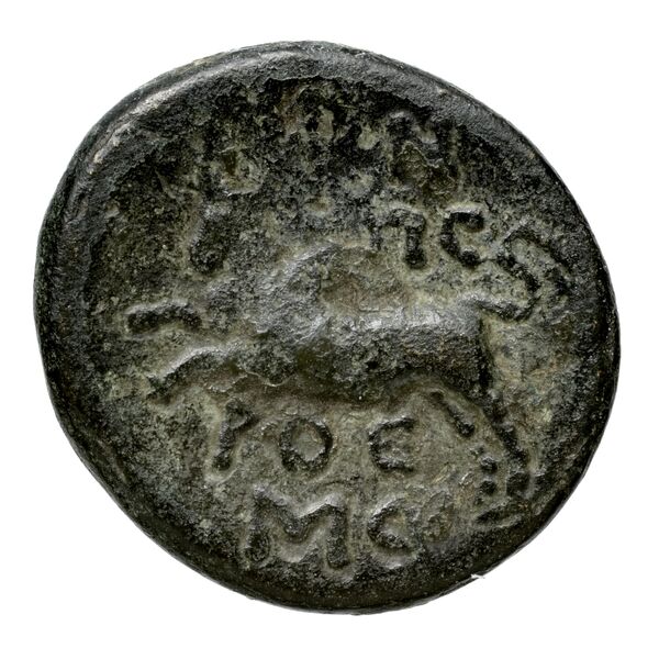 Aradus Duyrat 2005 4422-4602, реверс, bnf-iris