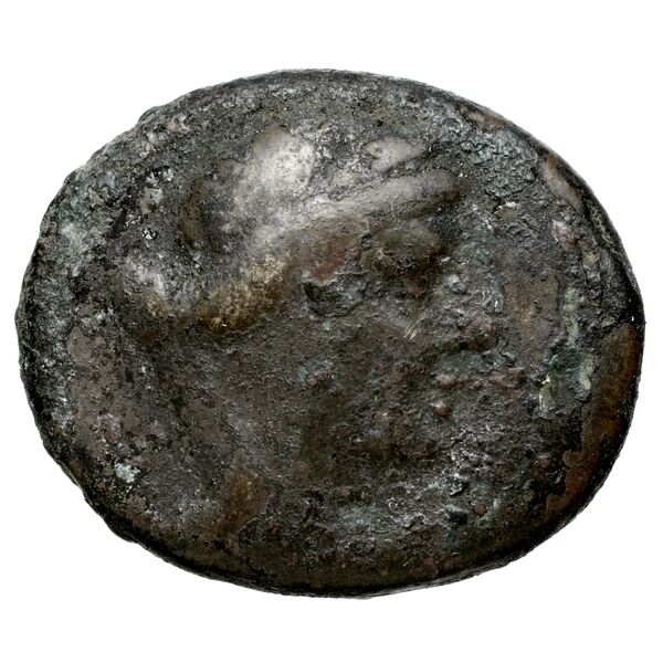 Aradus Duyrat 2005 4422-4602, аверс, bnf-iris