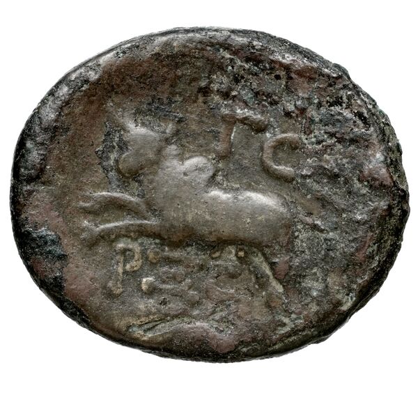 Aradus Duyrat 2005 4422-4602, реверс, bnf-iris