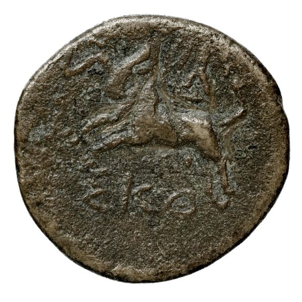 Aradus Duyrat 2005 4422-4602, реверс, bnf-iris
