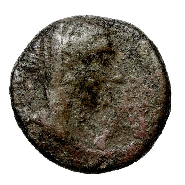 Aradus Duyrat 2005 2221-2236, аверс, bnf-iris