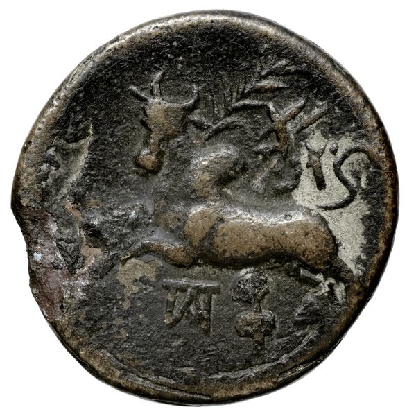 Aradus Duyrat 2005 4422-4602, реверс, bnf-iris