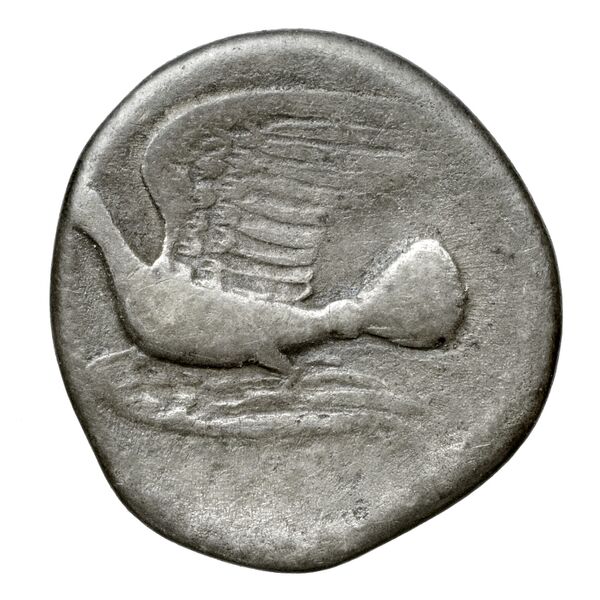 Sicyon BMC Sicyon 69-76, реверс, bnf-iris