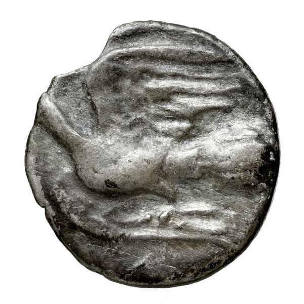Sicyon BMC Sicyon 69-76, реверс, bnf-iris