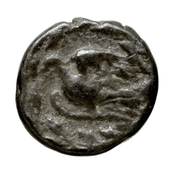 Sicyon BMC Sicyon 46-68, реверс, bnf-iris