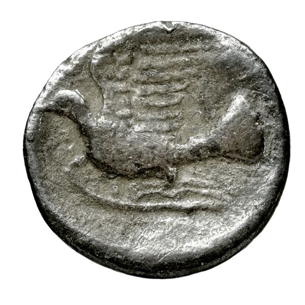 Sicyon BMC Sicyon 163-9, реверс, bnf-iris