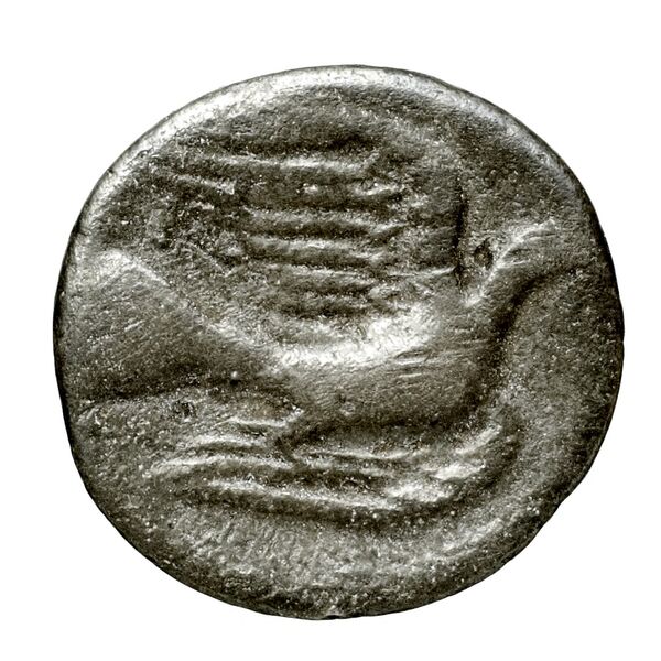 Sicyon BMC Sicyon 163-9, реверс, bnf-iris