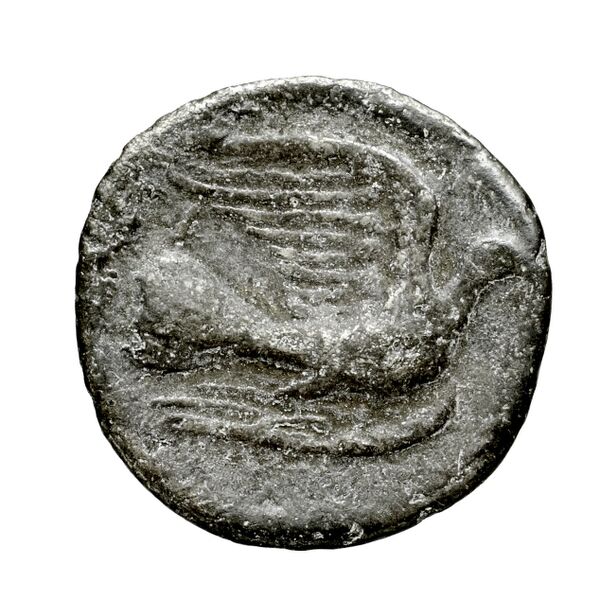 Sicyon BMC Sicyon 163-9, реверс, bnf-iris