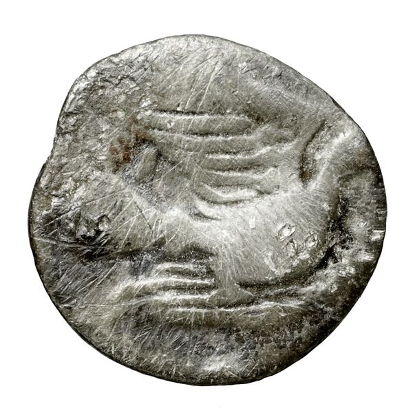 Sicyon BMC Sicyon 163-9, реверс, bnf-iris