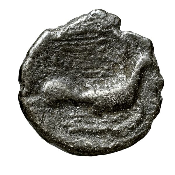 Sicyon BMC Sicyon 163-9, реверс, bnf-iris