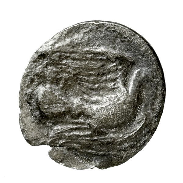 Sicyon BMC Sicyon 163-9, реверс, bnf-iris