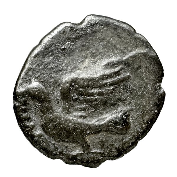 Sicyon BMC Sicyon 125-34, аверс, bnf-iris