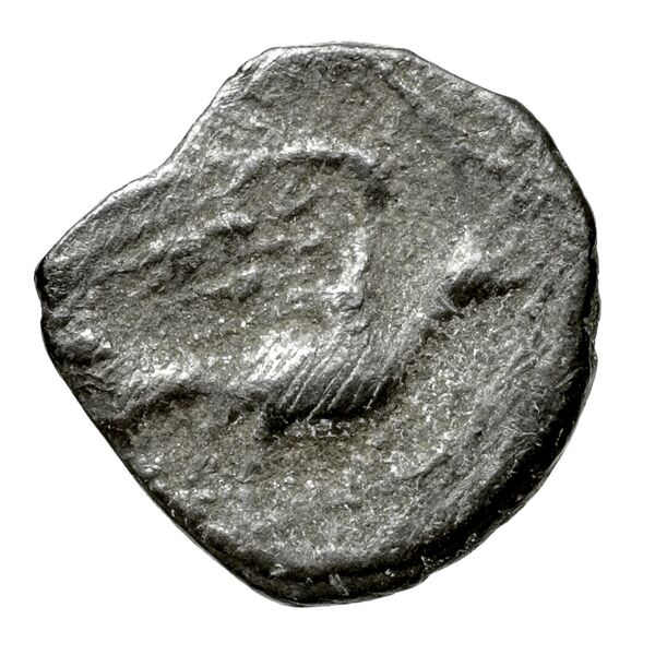 Sicyon BMC Sicyon 125-34, реверс, bnf-iris