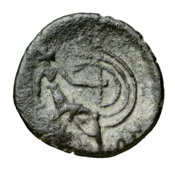 Histiaea BMC Histiaea 31-130, реверс, bnf-iris