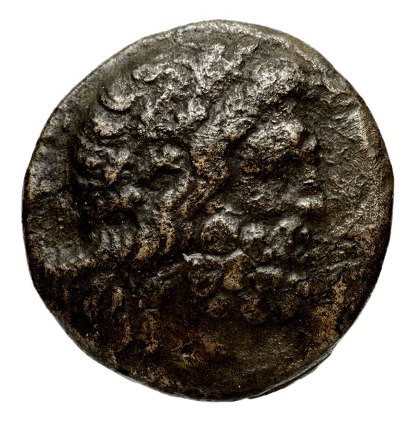 Philip V Macedon AMNG III.2 7, аверс, bnf-iris