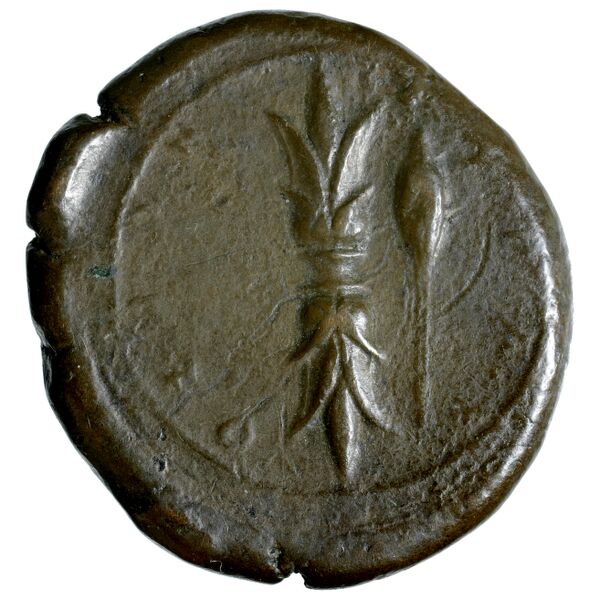 Syracuse Puglisi 2009 304, реверс, bnf-iris