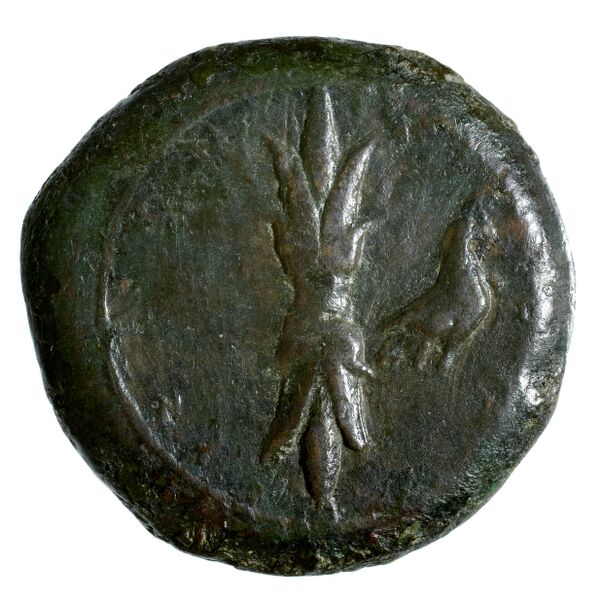 Syracuse Puglisi 2009 304, реверс, bnf-iris
