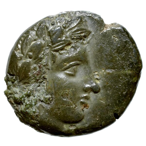 Neapolis Historia Numorum Italy 574, аверс, bnf-iris