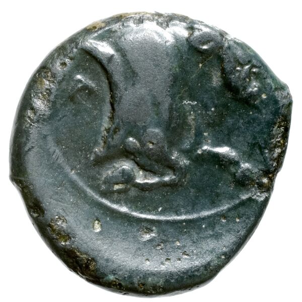 Neapolis Historia Numorum Italy 585, реверс, bnf-iris