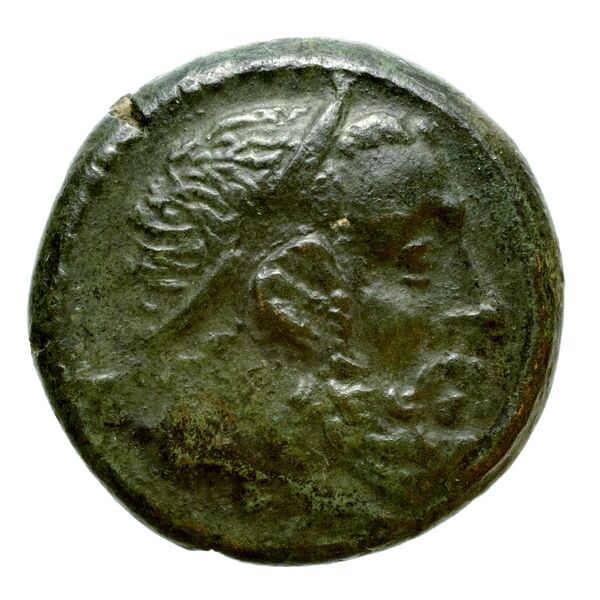 Tauromenium Puglisi 2009 379, аверс, bnf-iris