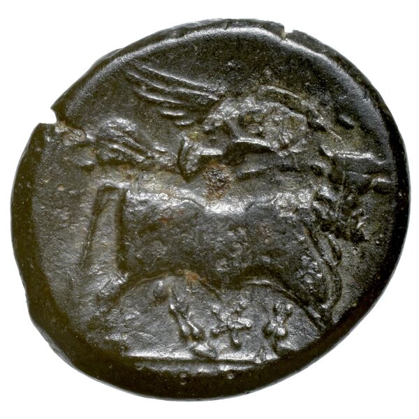 Neapolis Historia Numorum Italy 589, реверс, bnf-iris