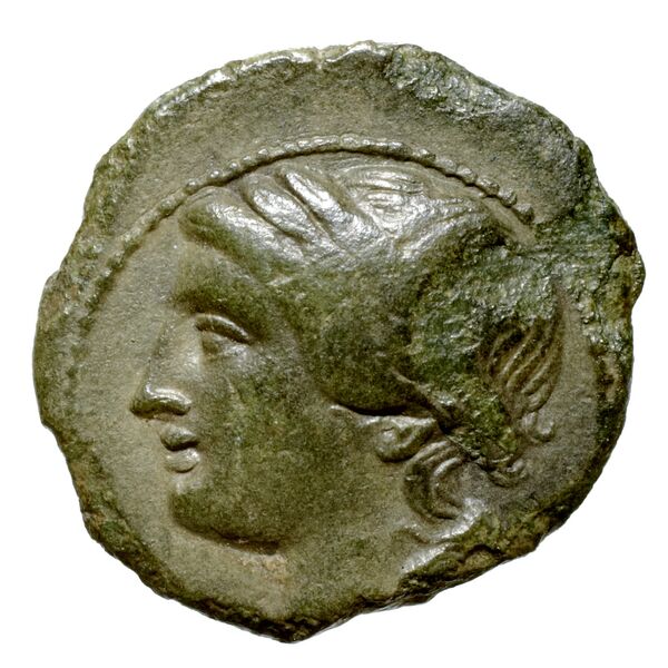 Neapolis Historia Numorum Italy 590, аверс, bnf-iris