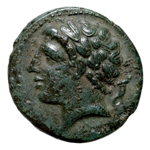 Neapolis Historia Numorum Italy 583, аверс, bnf-iris