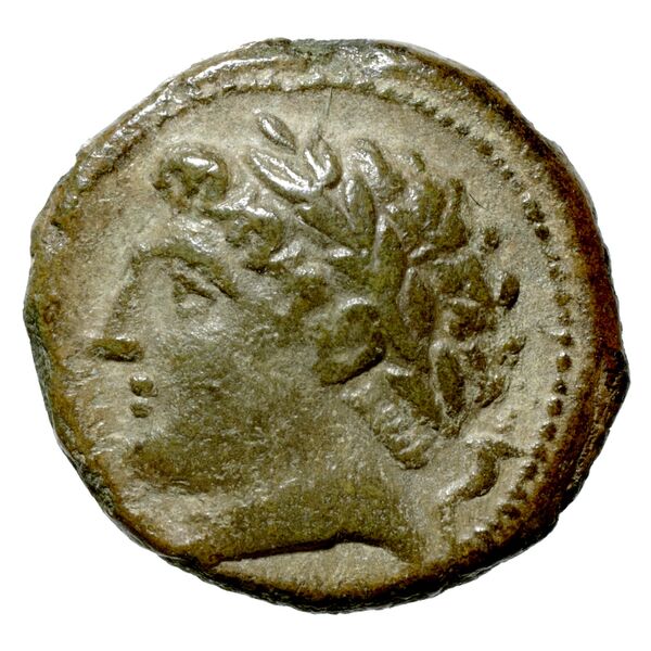 Neapolis Historia Numorum Italy 583, аверс, bnf-iris