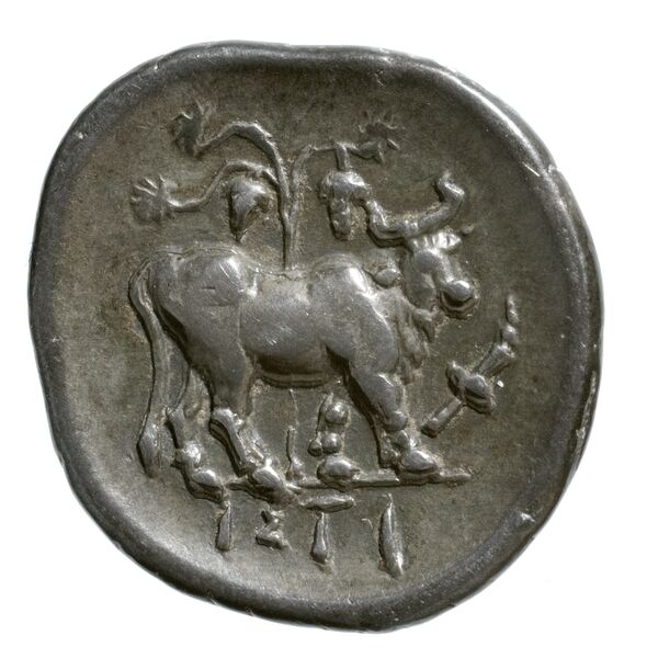 Histiaea BMC Histiaea 1-6, реверс, bnf-iris