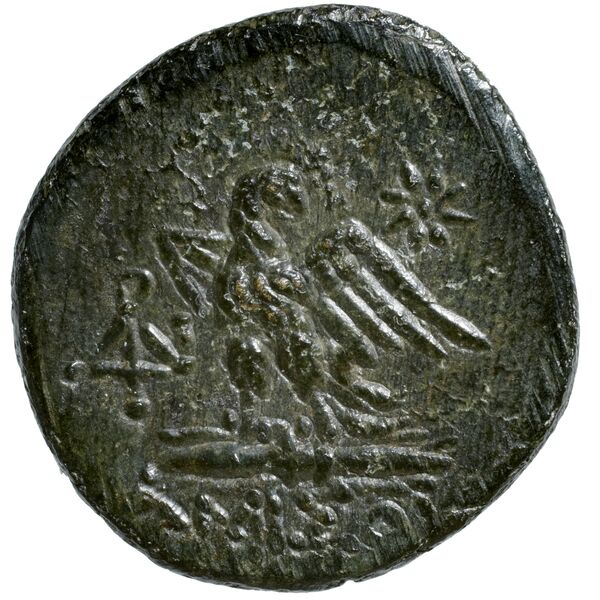 Amisus Waddington 1925 16, реверс, bnf-iris