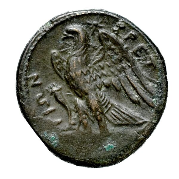 Brettii Bruttium Historia Numorum Italy 1978-1981, реверс, bnf-iris