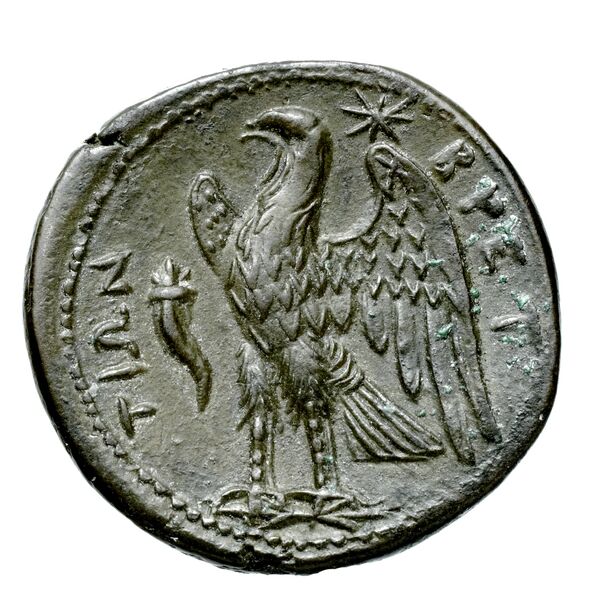 Brettii Bruttium Historia Numorum Italy 1978-1981, реверс, bnf-iris