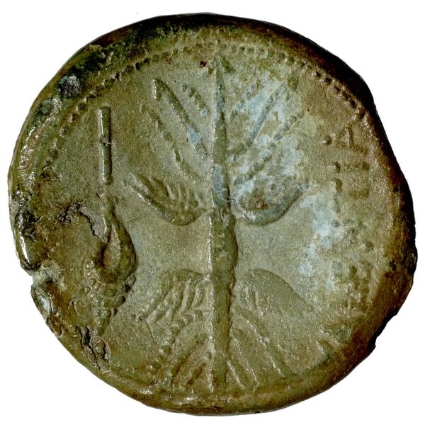 Vibo Valentia Historia Numorum Italy 2262, реверс, BnF (IRIS)