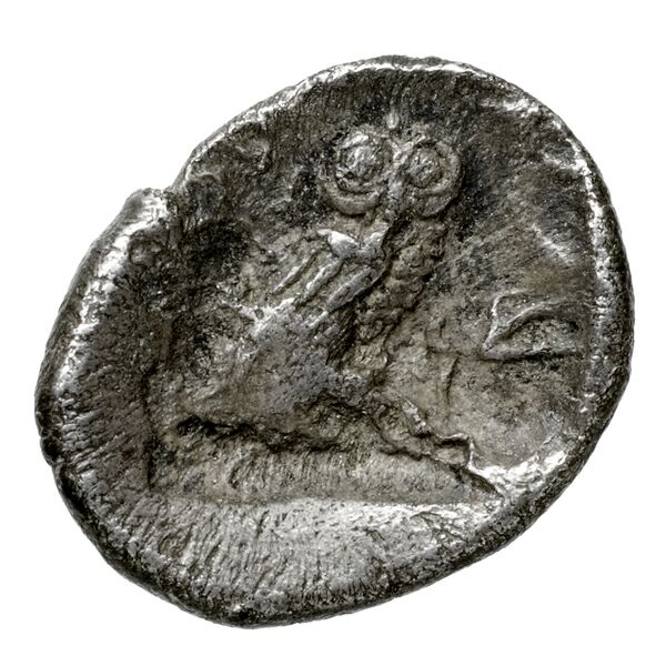 Ascalon Gitler and Tal 2006 4.2.III.9, реверс, bnf-iris