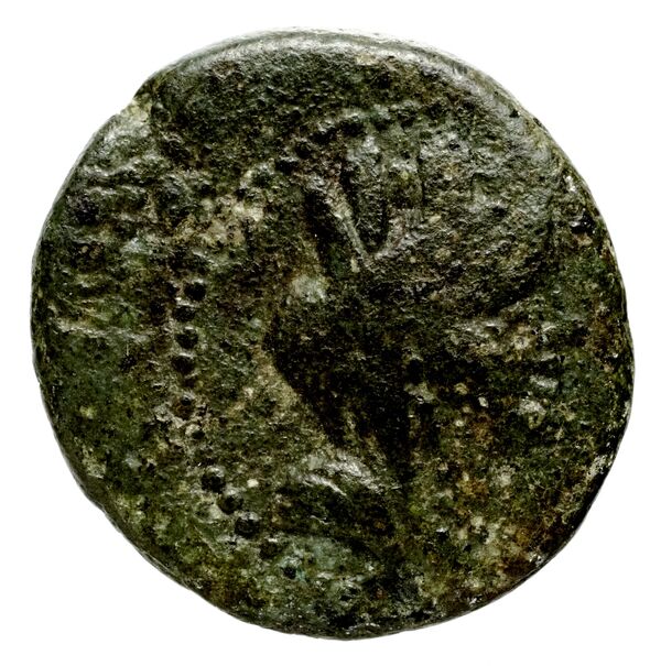 obverse Dora Meshorer 1986-87 5