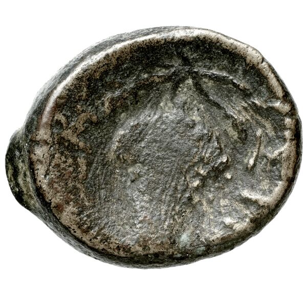 реверс Histiaea BMC Histiaea 134-136