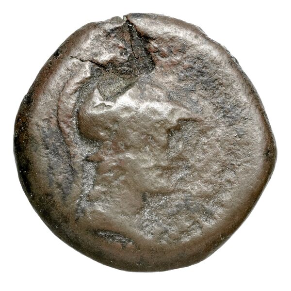 аверс Aegeae Bloesch 1982 Period 4B.108