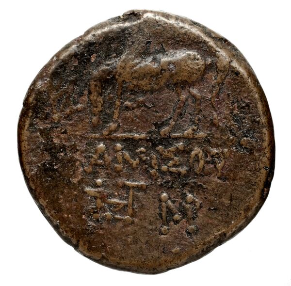 Amisus Waddington 1925 32, реверс, bnf-iris
