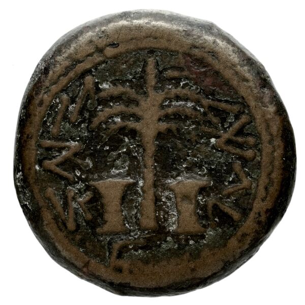 Simon Maccabaeus Judaea Hendin 2010 1367, аверс, bnf-iris
