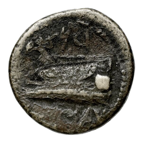 Aradus Duyrat 2005 4228-4381, реверс, bnf-iris