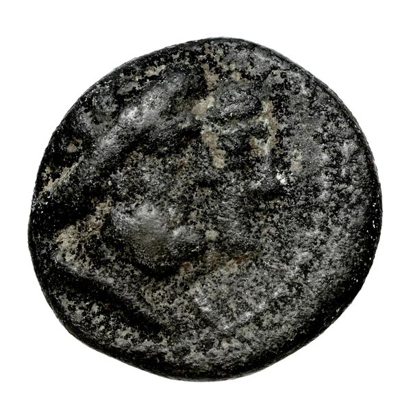 Aradus Duyrat 2005 4228-4381, аверс, bnf-iris