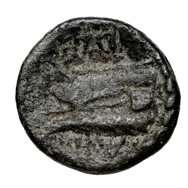 Aradus Duyrat 2005 4228-4381, реверс, bnf-iris